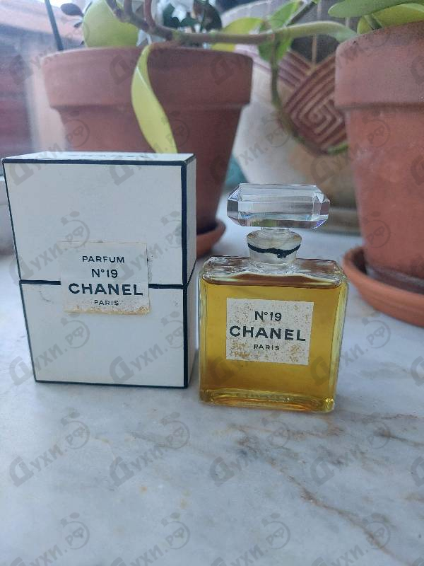 Купить 19 от Chanel