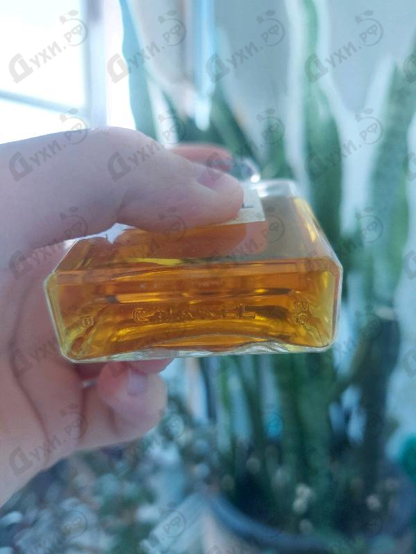Парфюмерия 19 от Chanel