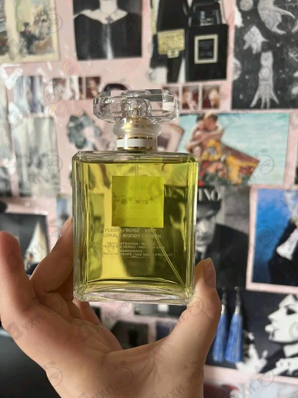 Парфюмерия 19 от Chanel