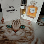 Духи 5 от Chanel