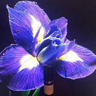 Парфюм Chanel 5