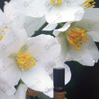 Отзывы Chanel 5