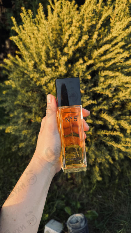 Парфюмерия 5 от Chanel