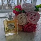 Отзыв Chanel 5 Eau Premiere