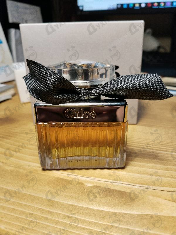 Отзывы Chloe Intense