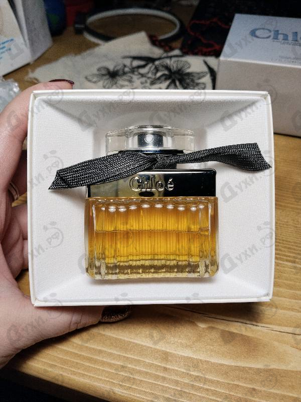 Отзыв Chloe Intense