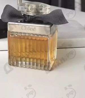 Купить Chloe Intense