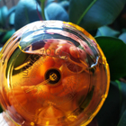 Отзыв Chopard Casmir