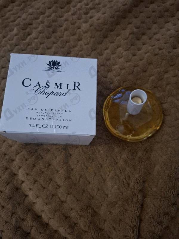 Купить Casmir от Chopard
