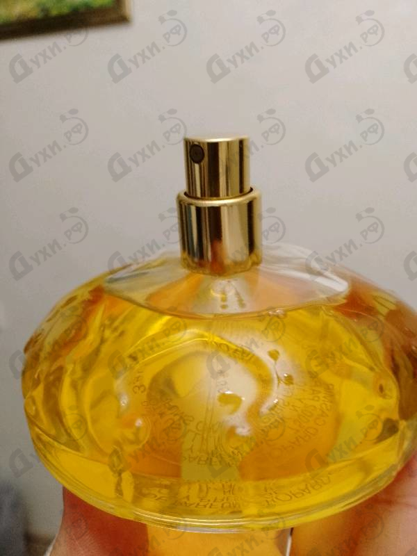 Купить Casmir от Chopard