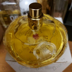 Отзыв Chopard Casmir