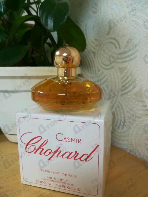 Отзывы Chopard Casmir