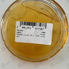 Отзыв Chopard Casmir