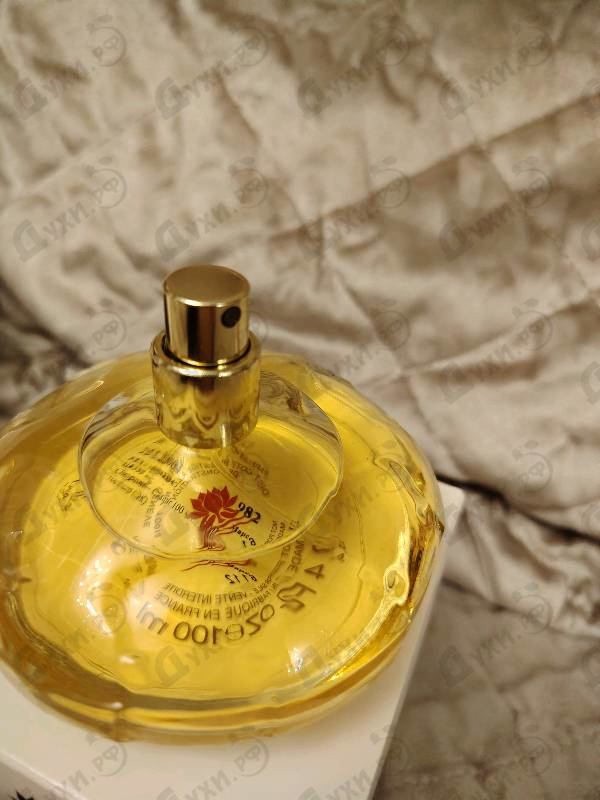 Купить Casmir от Chopard