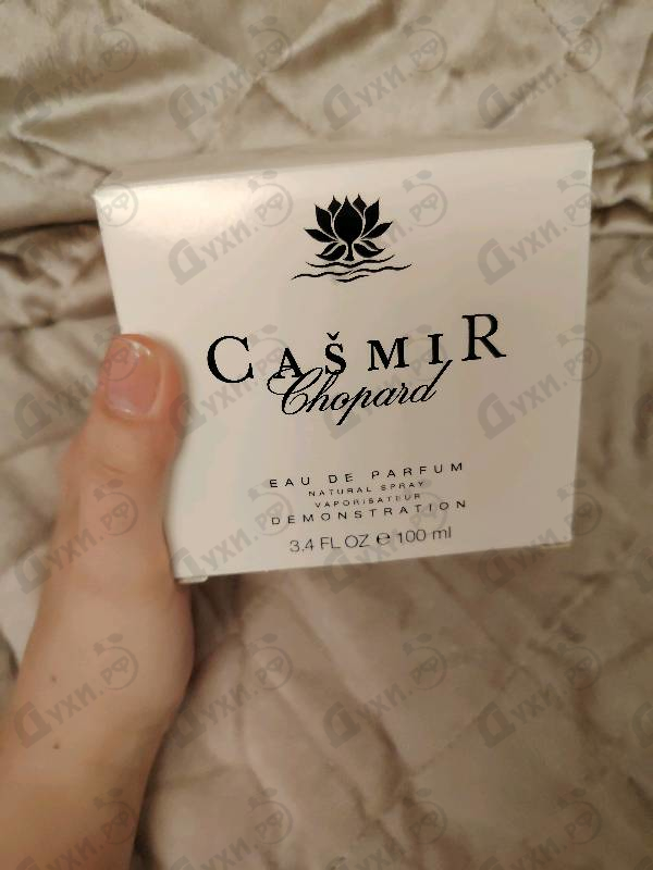 Купить Casmir от Chopard