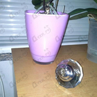 Отзыв Chopard Wish