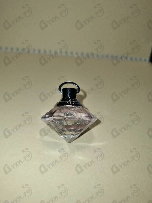 Купить Wish от Chopard