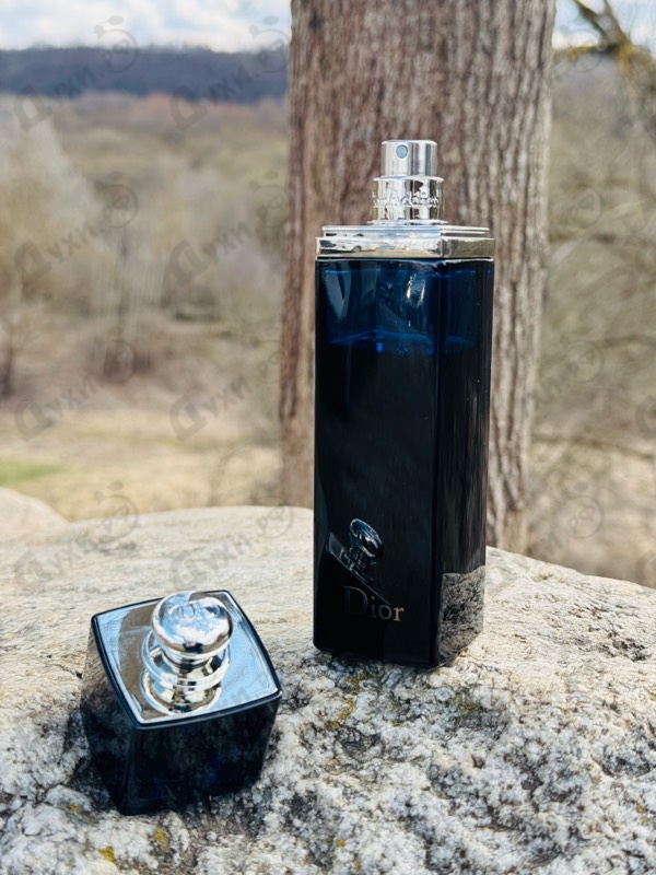 Купить Addict Eau De Parfum от Christian Dior