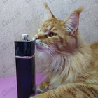 Парфюм Christian Dior Addict Eau De Parfum