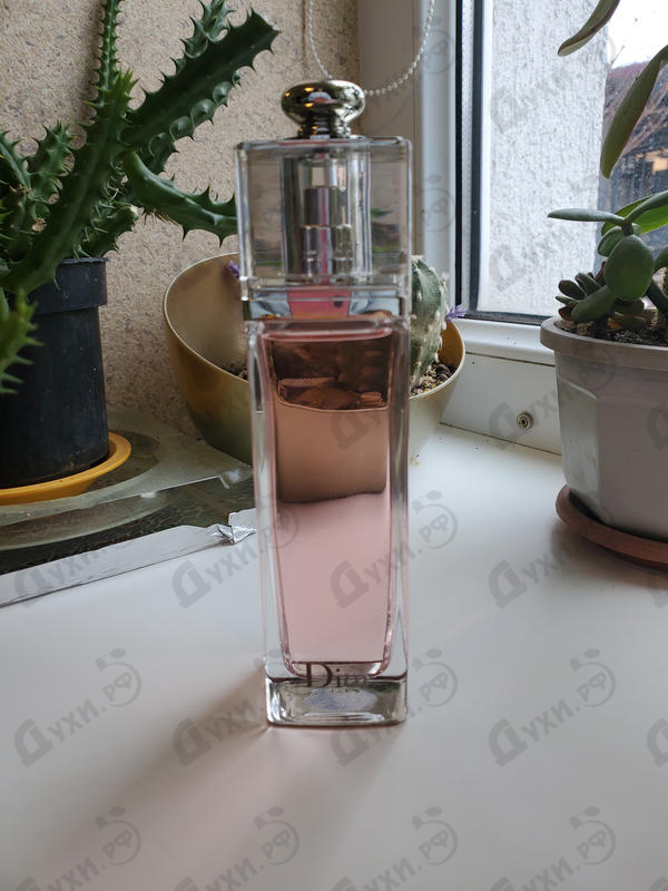 Отзывы Christian Dior Addict Eau Fraiche