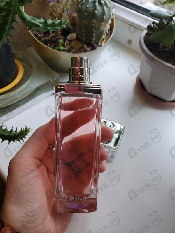 Отзыв Christian Dior Addict Eau Fraiche