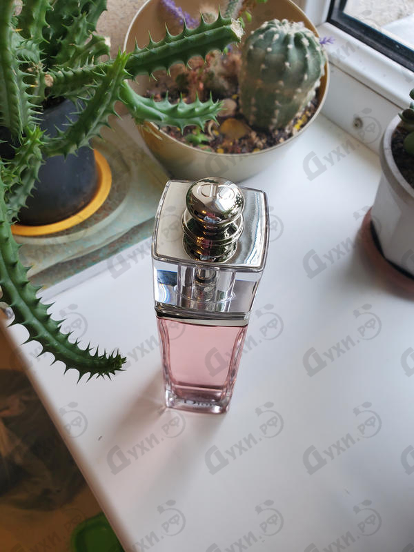 Духи Addict Eau Fraiche от Christian Dior