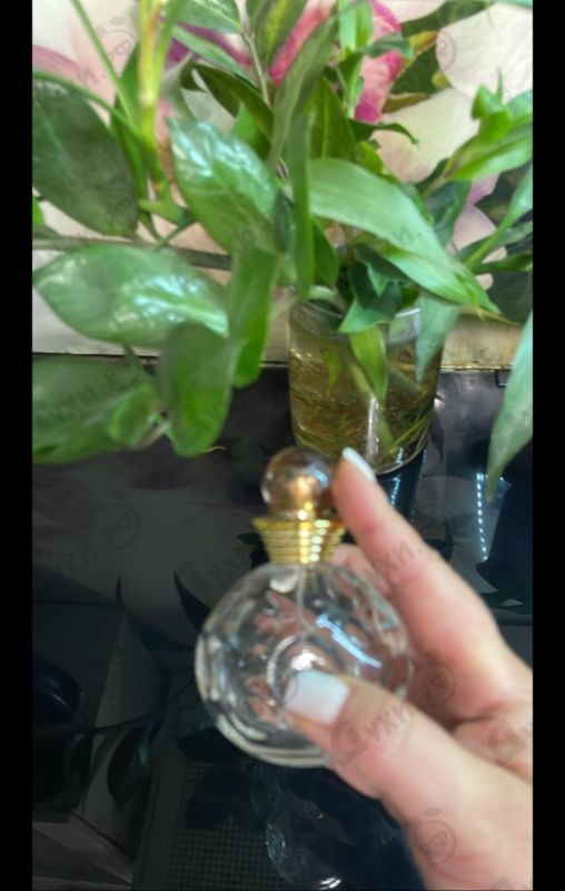 Парфюмерия Christian Dior Dolce Vita