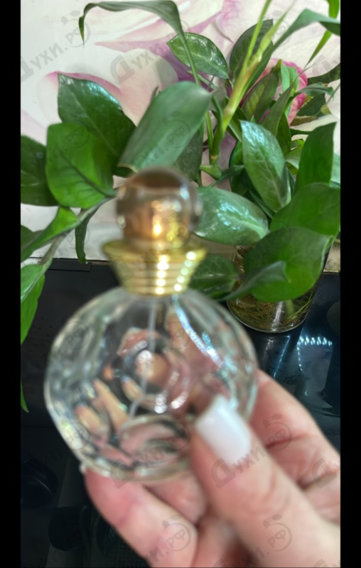 Парфюмерия Dolce Vita от Christian Dior