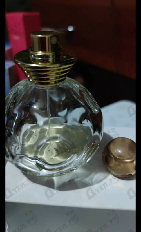 Купить Dolce Vita от Christian Dior