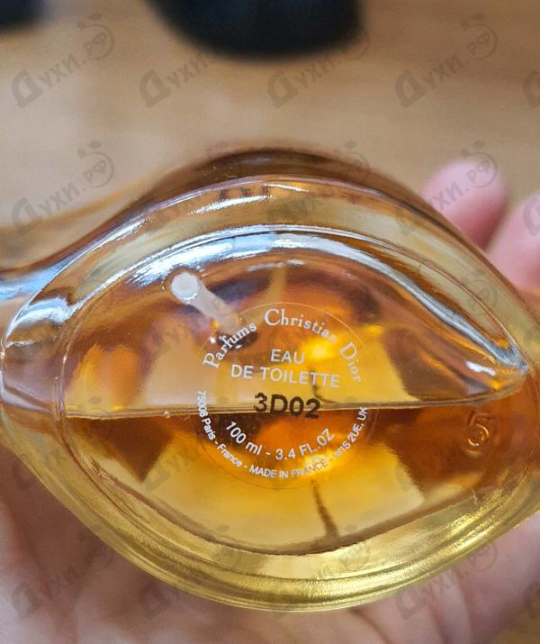 Купить Dune от Christian Dior