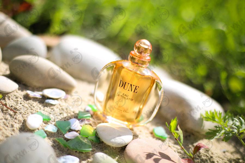 Купить Dune от Christian Dior