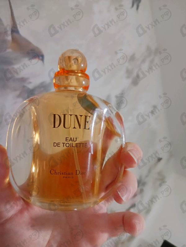 Купить Dune от Christian Dior