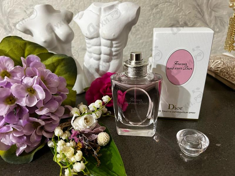 Купить Forever And Ever от Christian Dior Отзыв Christian Dior Forever And Ever