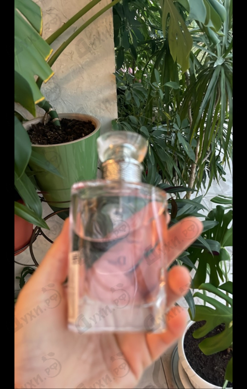 Купить Christian Dior Forever And Ever