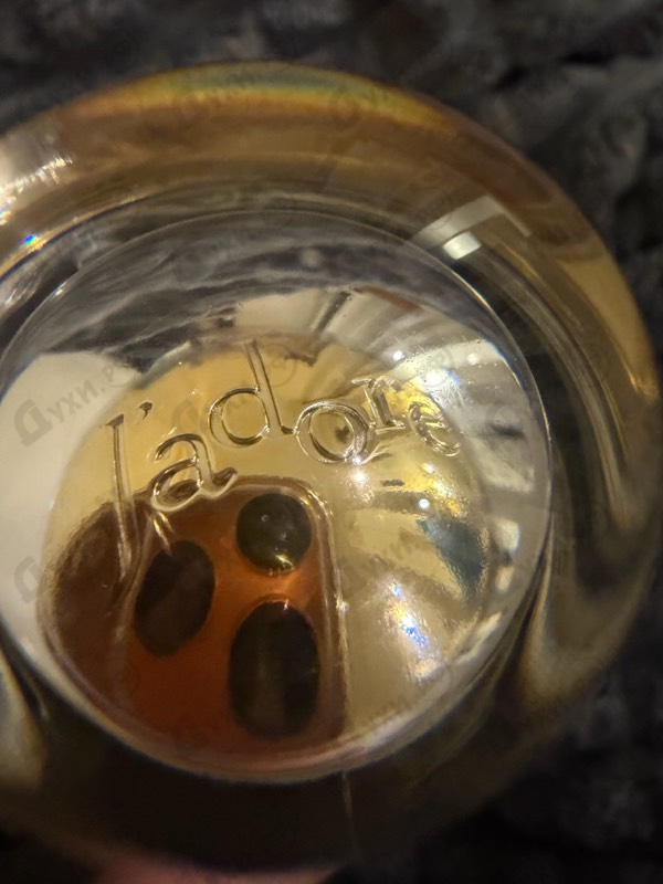 Парфюмерия Christian Dior Jadore