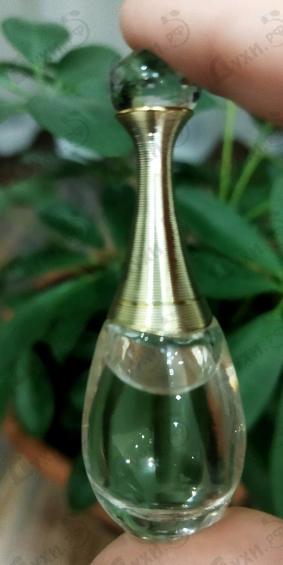 Отзывы Christian Dior Jadore