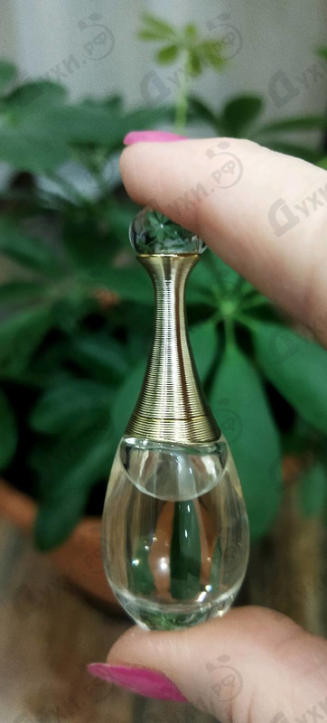 Парфюмерия Christian Dior Jadore