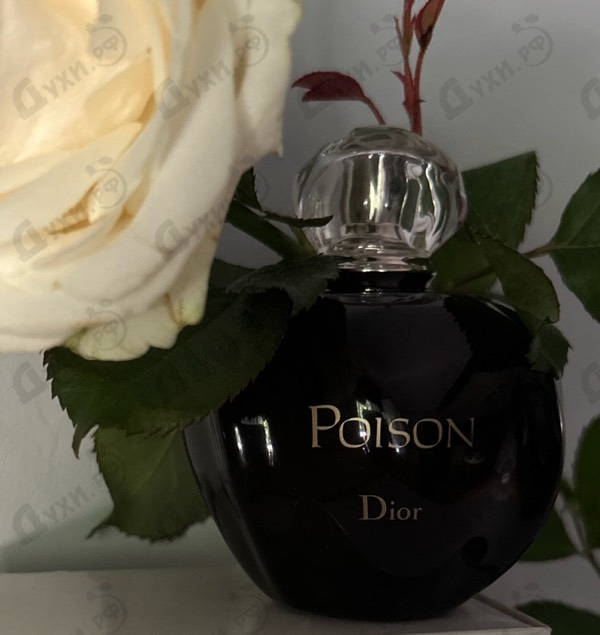 Купить Poison от Christian Dior