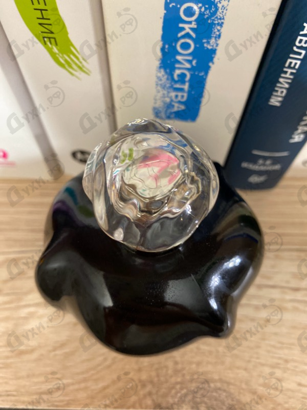 Парфюмерия Christian Dior Poison