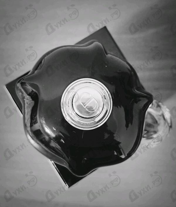 Парфюм Christian Dior Poison Духи Poison от Christian Dior