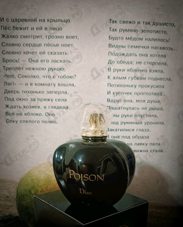 Купить Christian Dior Poison