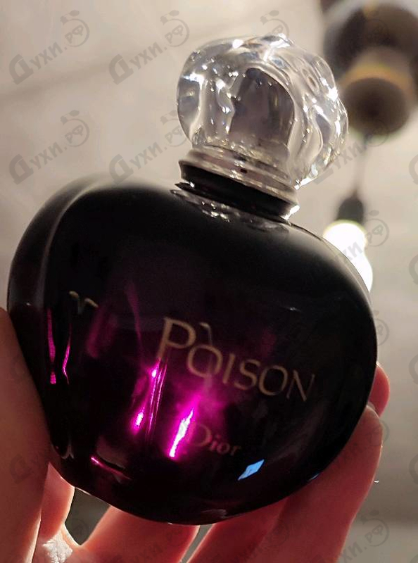 Купить Poison от Christian Dior