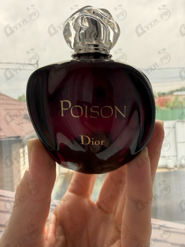 Купить Poison от Christian Dior