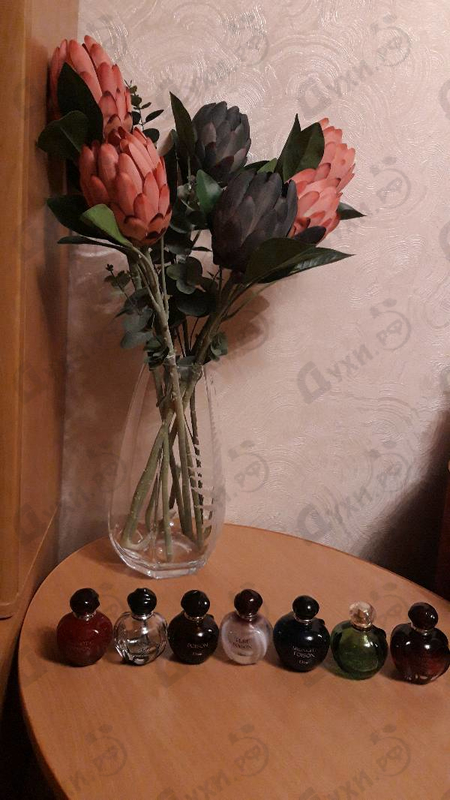 Парфюмерия Hypnotic Poison от Christian Dior