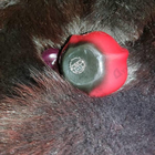 Отзыв Christian Dior Hypnotic Poison