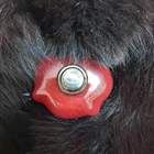 Отзывы Christian Dior Hypnotic Poison