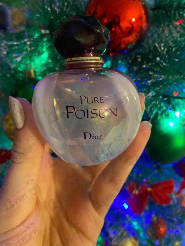 Купить Christian Dior Pure Poison