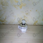 Отзыв Christian Dior Pure Poison