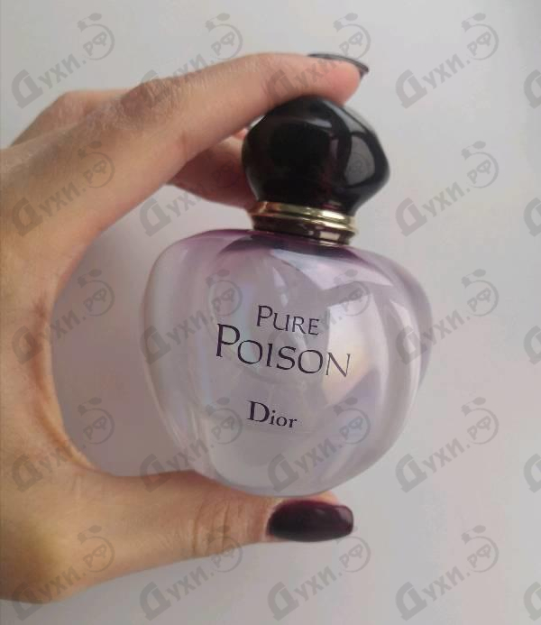 Отзывы Christian Dior Pure Poison