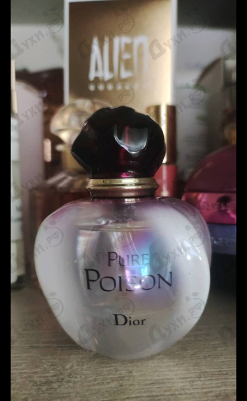 Парфюмерия Christian Dior Pure Poison